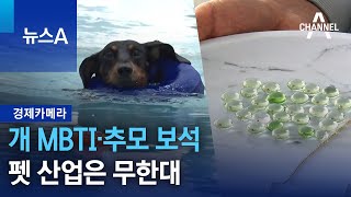 [경제카메라]개 MBTI·추모 보석…펫 산업은 무한대 | 뉴스A