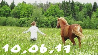 VLOG 10.06.17 Учимся косить траву😁 Работа в руках, выход на речку, пасемся в поле😄