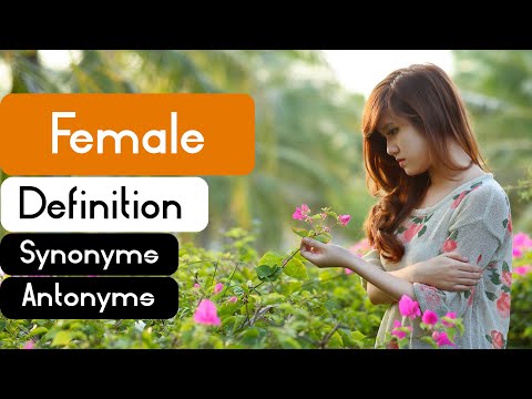 What is another word for girl?