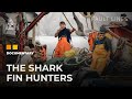 Tracking One of the World’s Bloodiest Trades: The Shark Fin Hunters | Fault Lines Documentary