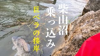 【ヘラブナ釣り】荘厳なる巨べらの群れ