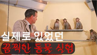 [sub] 실제로 있었던 끔찍한 동물 실험