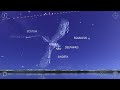 a shooting star in the night sky what is it and how to see it