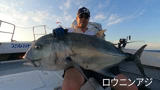 [Vlog奄美釣船]奄美大島近海泳がせ＆ジギング2日間