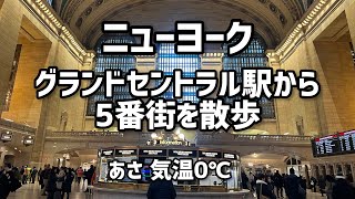 ニューヨークグランドセントラル駅から5番街59st付近まで散歩【気温0℃】