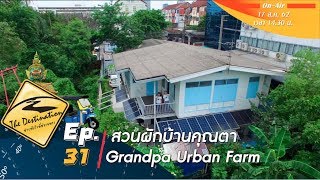 The Destination ตอน สวนผักบ้านคุณตา Grandpa Urban Farm