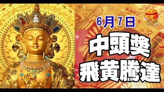 6月7日中頭獎，飛黃騰達的生肖