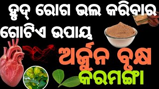 କରମଙ୍ଗା ଗଛର ଉପକାରିତା || Benefits of Terminalia Arjuna || ଅର୍ଜୁନ ଗଛର ଉପକାରିତା🌿