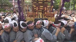 平成28年　上野＜下谷神社＞千貫神輿【騒動】渡御＝徒二町会～春日通り