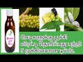 செடிகளுக்கு பூச்சி விரட்டி தெளிப்பது பற்றி 5 முக்கிய டிப்ஸ்.V C Gardening ideas.