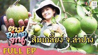 เข้าสวนสอย ส้มเกลี้ยง จ.ลำปาง | ตามอำเภอจาน | 13 พ.ย.64 Full EP