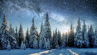 Deep Rest ~ Winter Solstice Music And Sound Healing For Restorative Sleep