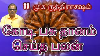 பதினான்குவித பாவங்களும் பரிகாரங்களும்-14 கோடி பசு தானம் செய்த பலன்   11 முக ருத்திராக்ஷம் தேவதை டிவி