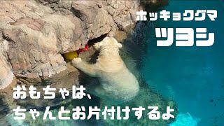 遊んだらちゃんと片付けるよ。ツヨシ（ホッキョクグマ/Polarbear)