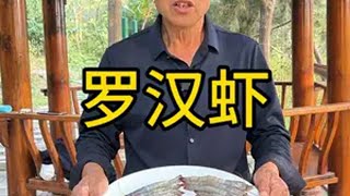 罗汉虾 农村大伯今日美食罗汉虾油焖大虾我的乡村生活 抖音美食推荐官 农村美食