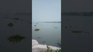 আগে তো দেখিনি ❤️ #video #youtubeshorts #ভাইরাল