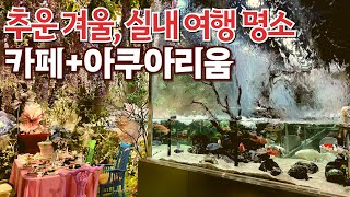 울긋불긋 물고기도 보고, 여유롭게 차 한 잔 할 수 있는 이색 카페 알려드려요! 서울 명소, 아쿠아리움가든카페 꼭 가보세요!  It's a cafe, not an aquarium?