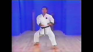 Goju ryu kata. Seiyunchin