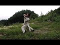 wudang long hua quan 60fps master chen shiyu