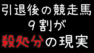 引退した競走馬は９割殺処分の現実…という記事を読んで思うこと