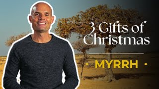 Myrrh | 3 Gifts of Christmas PT 3 | EP201