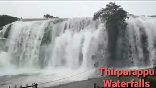 Thirparappu Waterfalls Today | Kanyakumari Dt |ஆர்ப்பரித்து கொட்டும் திற்பரப்பு அருவி | கன்னியாகுமரி