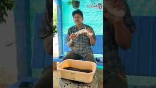 Fish farming in Telugu