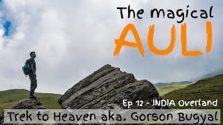 Auli Uttarakhand | Gorson Bugyal Trek | Hotels and Things to do in Auli