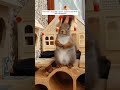 This man rescued a poor squirrel and then this happened #animalshorts #shortvideo #squirrel