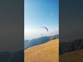 paragliding in birbilling paragliding adventure humanbirds viral trending birbilling india