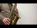 【over the rainbow 虹の彼方に】アルトサックス・ソロ altosax cover