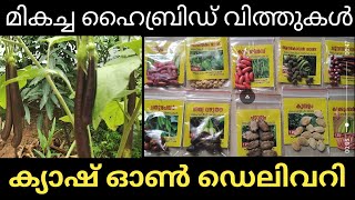 മികച്ച ഹൈബ്രിഡ് വിത്തുകൾ എല്ലാവർക്കും | Hybrid Vegetable Seeds Krishi