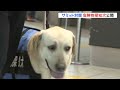 g7広島サミット中に“危険物探知犬”で警戒　新幹線の主要駅で｜tbs news dig