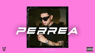Instrumental Reggaeton Estilo Ryan Castro “Perrea” | Beat Reggaeton Romantico Type 2022 Muzai