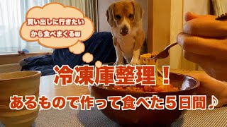 【冷凍庫整理 】食べまくる５日間！ミートソース、豚バラさつまいも炒め！食べて減らして整理して…