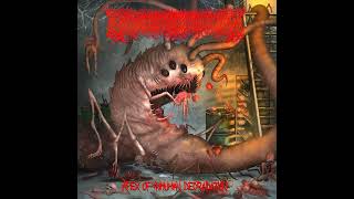 Smegmalurethroticpandectomy - Apex of Inhuman Degradation (Full Album)