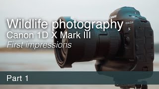 Wildlife Photography and the Canon EOS-1D X Mark III | First Impressions