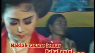 WANTIKA - MBARSIH:  WARU DOYONG  ~ DI SUN SING SUWE