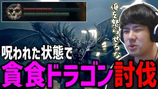 ゆゆうた、バジリスクの呪い状態で貪食ドラゴンを討伐する【2023/03/05】