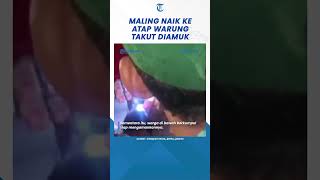 Viral Maling Naik ke Atap Warung Takut Diamuk Massa Nyaris jadi Bulan-bulanan