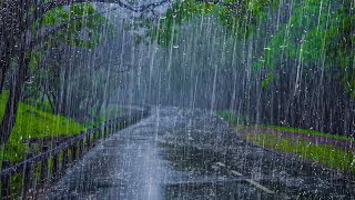 Within 3 Minutes You Will Fall Asleep instantly with Heavy Rain on the Road in the Foggy Forest