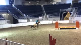 2'3 jumpers CNE 2013