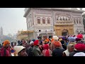 must watch golden temple amritsar sangat rush 🙏🏻