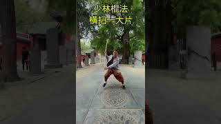 Shaolin Stick Technique.少林棍法#kungfu  #shaolin