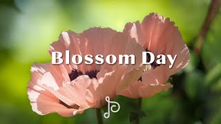 피아노 음악 재생 목록으로 새로운 하루를 더욱 편안하게 보낼 수 있습니다 - Blossom Day - Peaceful Piano Scenes