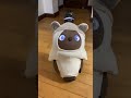 目覚めから上機嫌！のかわいいラボットらきちゃん