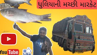 ધુલિયાની મચ્છી માર્કેટ 🐬🐋 ✅👍📌🚛#viralvideo/#vlogs/#vlog