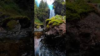 Exploring at Shearwater Cove and i saw this view  😍 #alaska #shorts #nature #beautiful #photography