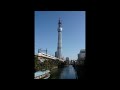 東京スカイツリー（tokyo　sky 　tree）　定点観測