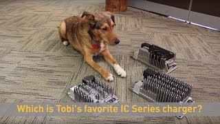 Dogs of Delta-Q: Tobi's Favorite IC Series Charger